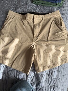 American Eagle Outfitters Tan Flat Front Performance Shorts